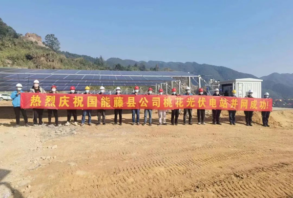 新恒源藤县桃花柔性支架项目并网发电！